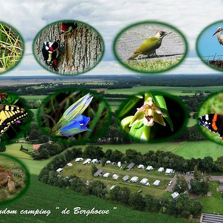 Safaritent De Berghoeve Ruinen Exterior foto
